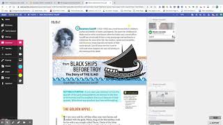 Basic Kami Toolbar Features