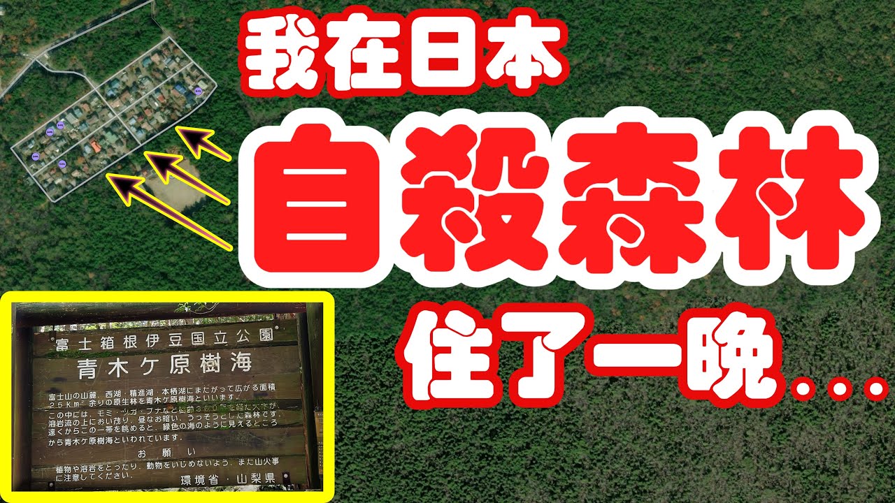 【日本旅遊】我在日本“自殺森林”青木原樹海裡住了一晚・2023年日本山梨縣富士山周邊自由行・青木原樹海・精進湖民宿村【4K Vlog】Aokigahara Jukai