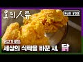 KBS명작다큐｜요리인류 ｜닭고기 로드_세상의 식탁을 바꾼 새, 닭 (Full VOD)
