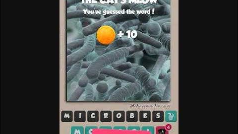 Pic What! Level 91-100 Answer Guide