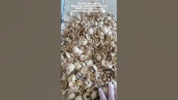 Automatic Walnut Cracking Machine