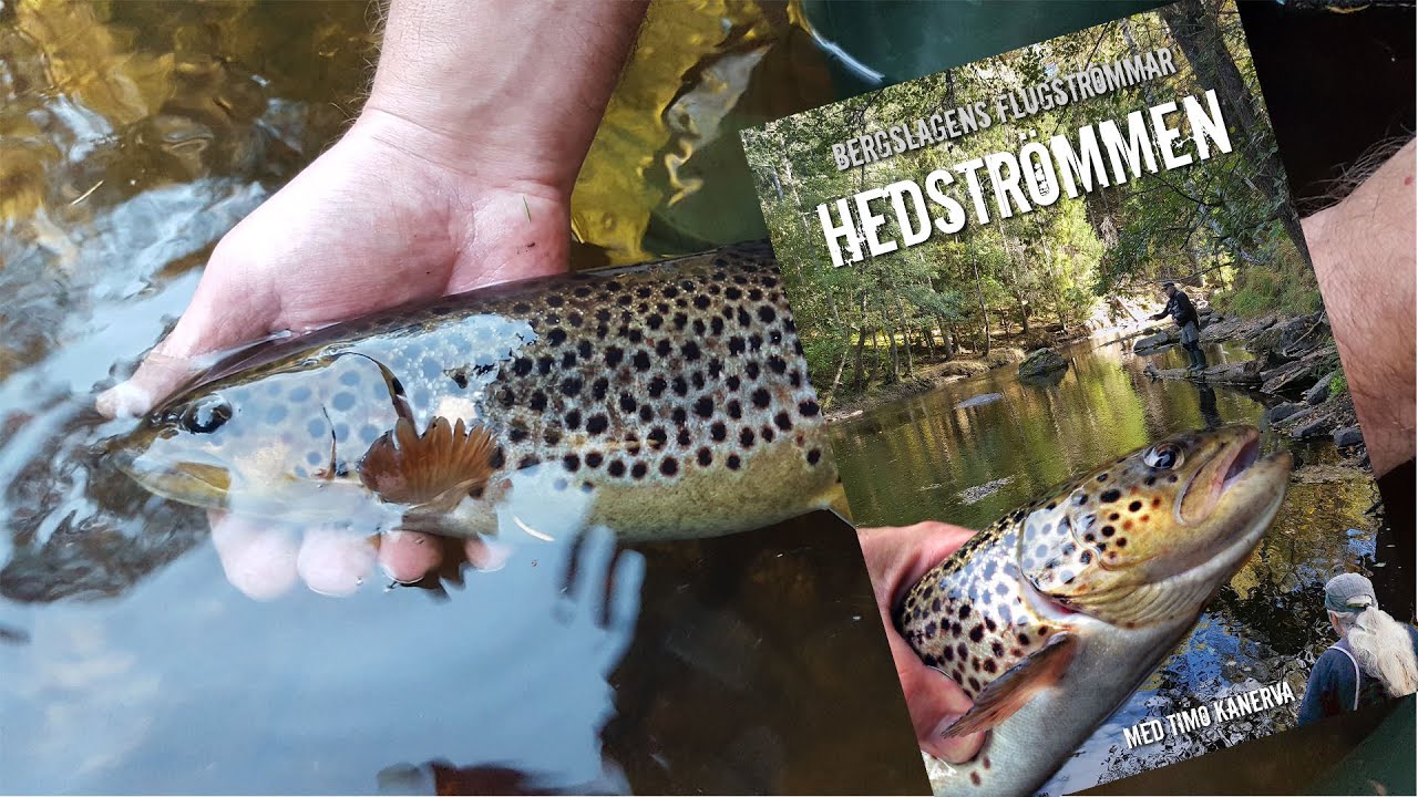 Hedströmmen (Full Movie - Swedish)