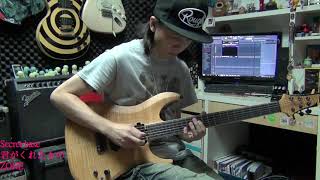 君 guitar cover - secret base