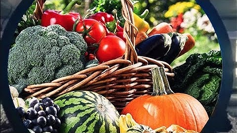 Round Shape LCD Video Display 24” (600mm)