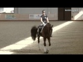 Мастер-класс «Тренинг молодых лошадей и судейство соревнований для молодых лошадей» 29.04.15 - 1