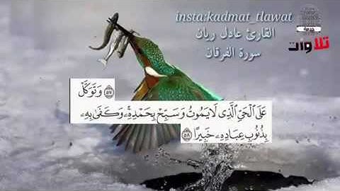 القارئ عادل ريان سورة الفرقان