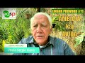 Lingva Provoko n-ro 71 (AMBICIA kaj AVIDA)