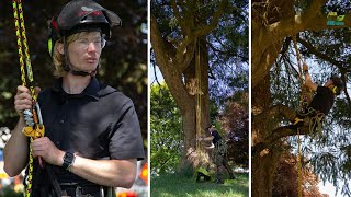 Why Marlow Ropes' Typhoon is perfect choice for one arborist