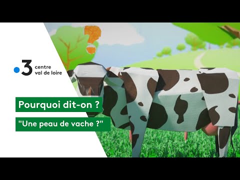 Vidéo: À quoi sert la peau de vache ?