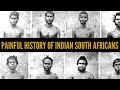 Indian South Africans: The painful story of indentured labourers | African Biographics