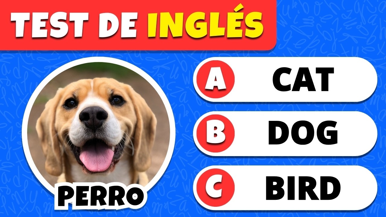 Desafío de INGLÉS: Nivel PRIMARIA 📗🤓🇺🇸 | 60 Palabras