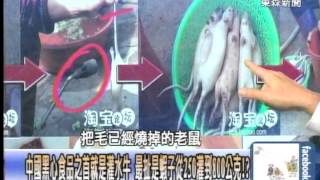 活著就是灌食！你愛吃的肥美鵝肝 牠們痛苦卻發不出聲的抗議！？20140606-2