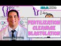 Embryology | Fertilization, Cleavage, Blastulation