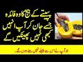 Huge benefits of papaya seeds for health papeta k beej ke fayde in urdu