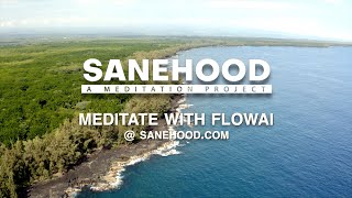 Meditate with FlowAI @ Sanehood.com