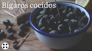 Bígaros cocidos | How to cook Sea snails - Periwinkles | The Soup Story