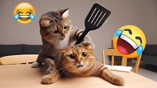 Funny Cat Videos of 2024  YOU LAUGH YOU LOSE # 14