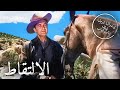الالتقاط أفلام الويسترن في اللون الترجمة العربية الالتقاط أفلام الويسترن في اللون الترجمة العربية