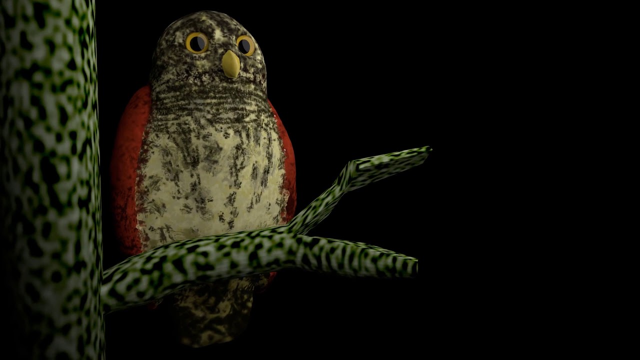Ceylon Chestnut backed Owelet | 3D Model 