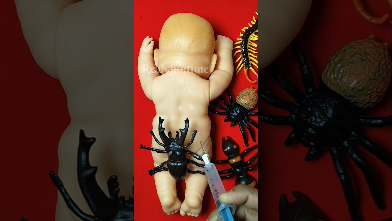 Squishy 💦 funny 🤣🤣 satisfying 