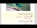 الصف الخامس درس عصفور في اليد مادة لغتي الجميلة المنهاج العماني الفصل الثاني