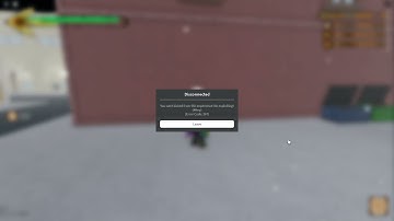 I got kicked for exploiting but i didnt exploit | stand: beach boy