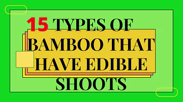 TOP 15 TYPES OF EDIBLE BAMBOO SHOOTS