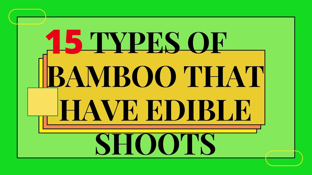TOP 15 TYPES OF EDIBLE BAMBOO SHOOTS