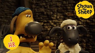 Shaun's Picnic Panic! ๐ฑ | Shaun the Sheep 1 HOUR Compilation | Shaun the Sheep & Friends