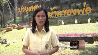 รายการ คนไทยหัวใจเกษตร วันที่ 21 มีนาคม 2559 B3