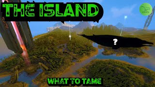 The Best Dino's To Tame On The Island - Ark: Survival Evolved - Quick Guides - 2021