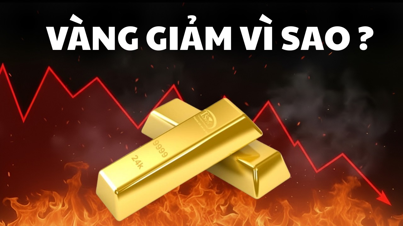 Vì Sao Chiến tranh Trung Đông leo Thang Nhưng Giá Vàng Lại Lao Dốc – Dòng Tiền Đang Chạy Đi Đâu?