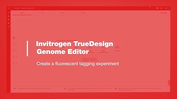 Invitrogen TrueDesign Genome Editor: Create a fluorescent tagging experiment