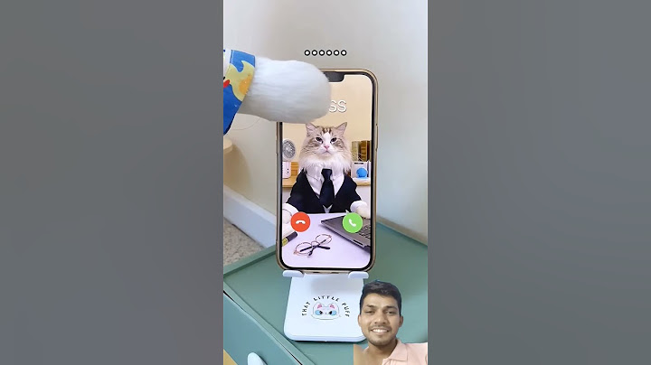 Puff's guide on handling weekend calls from the boss! #BossBoundary #WeekendWarrior #thatlittlepuff