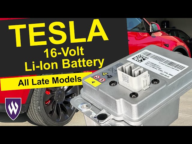 The 16V Li-Ion Battery used by Tesla 