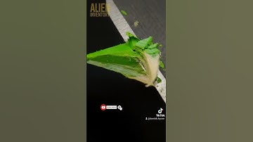 Pencil💚 || Credits: ‎@AlienInventory    #shorts #asmr #reversed