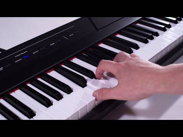 Alesis Recital Overview 