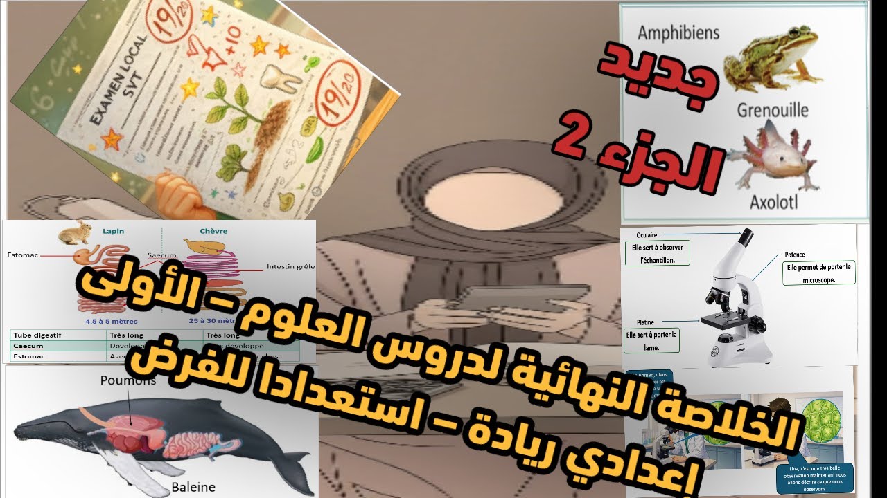🔥 الخلاصة الذهبية في علوم الحياة والأرض – الأولى إعدادي (ريادة) الجزء 2
