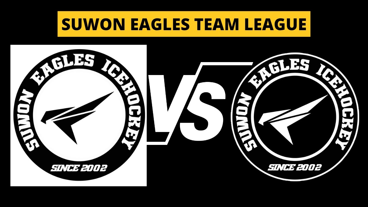 Team Black vs Team  White 수원이글스 팀리그 [[ Full Match ]]