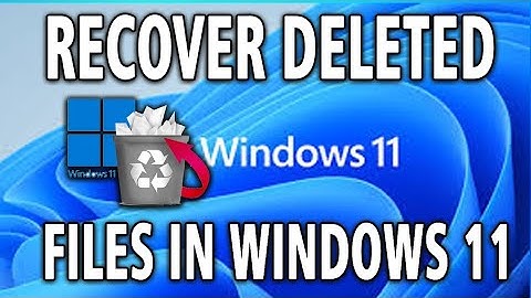 How To Recover Permanently Deleted Files & Folders in Windows 11 (guide)
