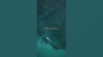 القارئ محمد اللحيدان(سورة آل عمران)
