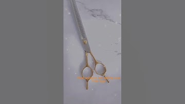 Nice curved scissors are selling now, free logo.