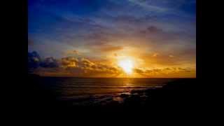 Roots in the Now - Maejus -  feat. Susie Ro