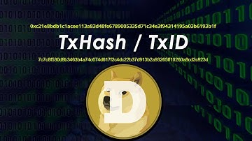 How To Find Hash ID In Dogechain | Transaction Hash ID | Cryptocurrency