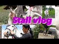 Stall vlog  mit dana   xnika