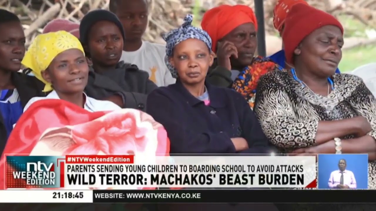 Kyasila residents raise alarm over escalating wild animal attacks