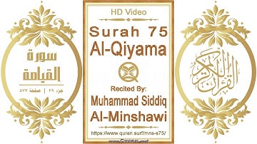 سورة ٠٧٥ ،القيامة | القارئ: محمد صديق المنشاوي | نص يبرز فيديو عالي الدقة عن تلاوة القرآن الكريم