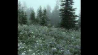 alex g - sarah (sped up)