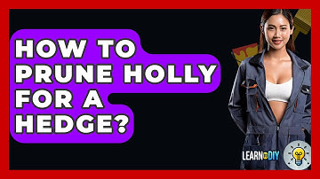 How To Prune Holly For A Hedge? - LearnToDIY360.com