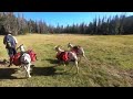 Packing Goats to Hell Hole Lake